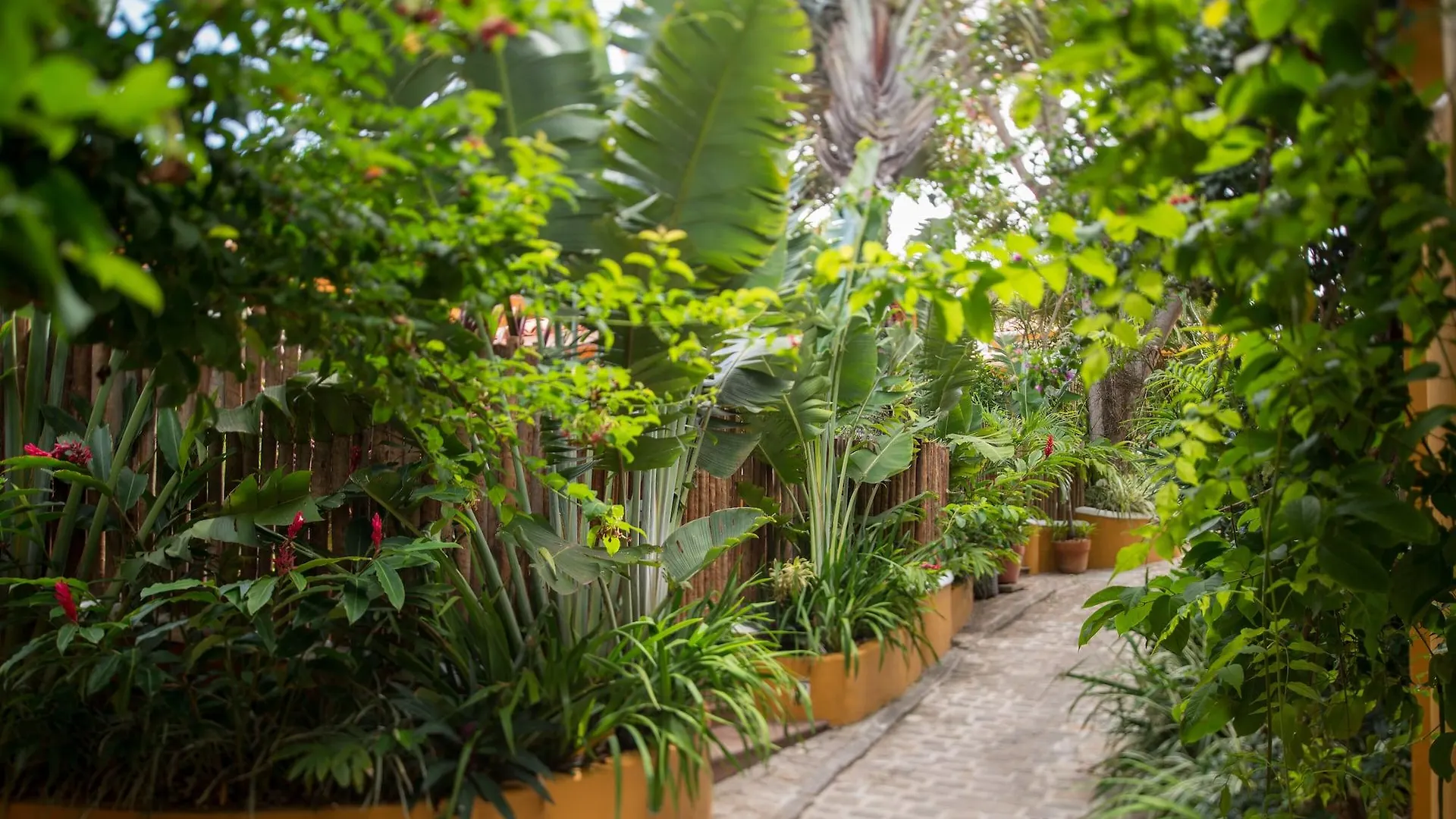 Vila Deste Hotel Armacao dos Buzios